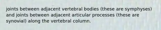 joints between adjacent vertebral bodies (these are symphyses) and joints between adjacent articular processes (these are synovial) along the vertebral column.