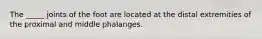The _____ joints of the foot are located at the distal extremities of the proximal and middle phalanges.