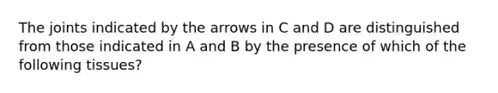 The joints indicated by the arrows in C and D are distinguished from those indicated in A and B by the presence of which of the following tissues?