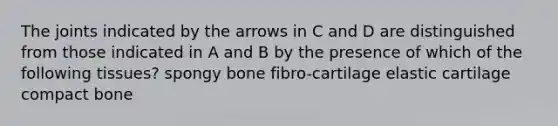 The joints indicated by the arrows in C and D are distinguished from those indicated in A and B by the presence of which of the following tissues? spongy bone fibro-cartilage elastic cartilage compact bone