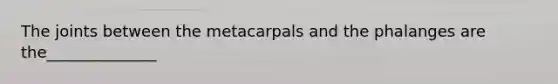 The joints between the metacarpals and the phalanges are the______________