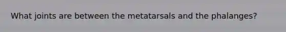 What joints are between the metatarsals and the phalanges?