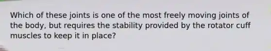 Which of these joints is one of the most freely moving joints of the body, but requires the stability provided by the rotator cuff muscles to keep it in place?