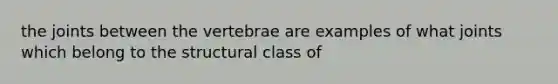 the joints between the vertebrae are examples of what joints which belong to the structural class of