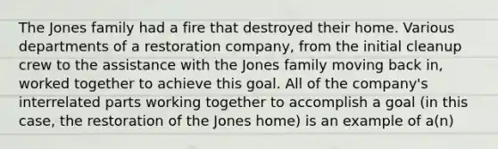 The Jones family had a fire that destroyed their home. Various departments of a restoration company, from the initial cleanup crew to the assistance with the Jones family moving back in, worked together to achieve this goal. All of the company's interrelated parts working together to accomplish a goal (in this case, the restoration of the Jones home) is an example of a(n)