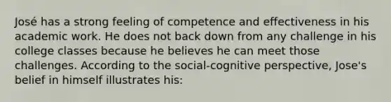 José has a strong feeling of competence and effectiveness in his academic work. He does not back down from any challenge in his college classes because he believes he can meet those challenges. According to the social-cognitive perspective, Jose's belief in himself illustrates his: