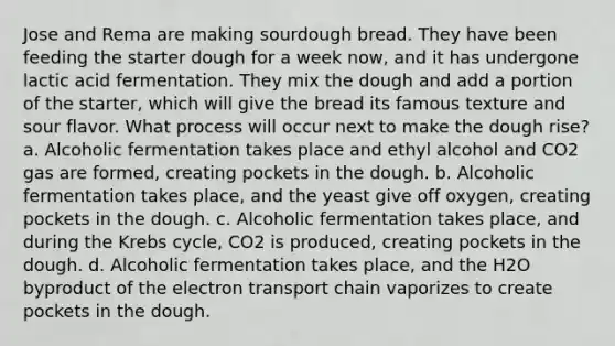 Jose and Rema are making sourdough bread. They have been feeding the starter dough for a week now, and it has undergone lactic acid fermentation. They mix the dough and add a portion of the starter, which will give the bread its famous texture and sour flavor. What process will occur next to make the dough rise? a. Alcoholic fermentation takes place and ethyl alcohol and CO2 gas are formed, creating pockets in the dough. b. Alcoholic fermentation takes place, and the yeast give off oxygen, creating pockets in the dough. c. Alcoholic fermentation takes place, and during the Krebs cycle, CO2 is produced, creating pockets in the dough. d. Alcoholic fermentation takes place, and the H2O byproduct of the electron transport chain vaporizes to create pockets in the dough.