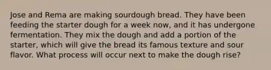 Jose and Rema are making sourdough bread. They have been feeding the starter dough for a week now, and it has undergone fermentation. They mix the dough and add a portion of the starter, which will give the bread its famous texture and sour flavor. What process will occur next to make the dough rise?