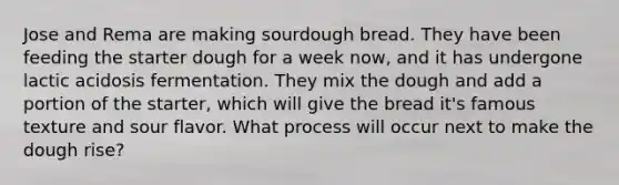 Jose and Rema are making sourdough bread. They have been feeding the starter dough for a week now, and it has undergone lactic acidosis fermentation. They mix the dough and add a portion of the starter, which will give the bread it's famous texture and sour flavor. What process will occur next to make the dough rise?