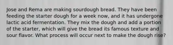 Jose and Rema are making sourdough bread. They have been feeding the starter dough for a week now, and it has undergone lactic acid fermentation. They mix the dough and add a portion of the starter, which will give the bread its famous texture and sour flavor. What process will occur next to make the dough rise?