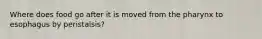 Where does food go after it is moved from the pharynx to esophagus by peristalsis?