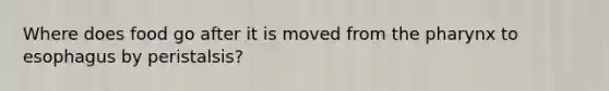 Where does food go after it is moved from <a href='https://www.questionai.com/knowledge/ktW97n6hGJ-the-pharynx' class='anchor-knowledge'>the pharynx</a> to esophagus by peristalsis?