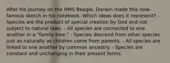 After his journey on the HMS Beagle, Darwin made this now-famous sketch in his notebook. Which ideas does it represent? - Species are the product of special creation by God and not subject to natural laws. - All species are connected to one another in a "family tree." - Species descend from other species just as naturally as children come from parents. - All species are linked to one another by common ancestry. - Species are constant and unchanging in their present forms.