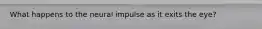 What happens to the neural impulse as it exits the eye?