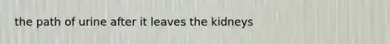 the path of urine after it leaves the kidneys