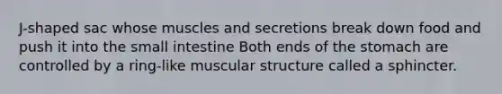 J-shaped sac whose muscles and secretions break down food and push it into <a href='https://www.questionai.com/knowledge/kt623fh5xn-the-small-intestine' class='anchor-knowledge'>the small intestine</a> Both ends of <a href='https://www.questionai.com/knowledge/kLccSGjkt8-the-stomach' class='anchor-knowledge'>the stomach</a> are controlled by a ring-like muscular structure called a sphincter.