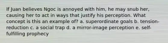 If Juan believes Ngoc is annoyed with him, he may snub her, causing her to act in ways that justify his perception. What concept is this an example of? a. superordinate goals b. tension-reduction c. a social trap d. a mirror-image perception e. self-fulfilling prophecy