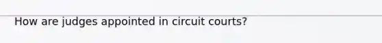 How are judges appointed in circuit courts?