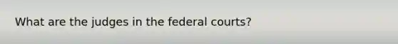 What are the judges in the federal courts?