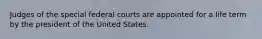 Judges of the special federal courts are appointed for a life term by the president of the United States.