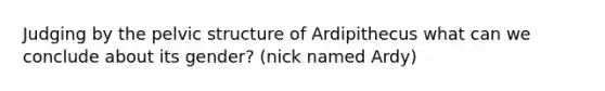 Judging by the pelvic structure of Ardipithecus what can we conclude about its gender? (nick named Ardy)