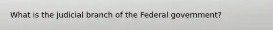 What is the judicial branch of the Federal government?