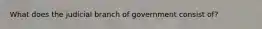 What does the judicial branch of government consist of?