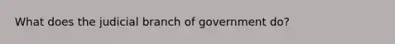 What does the judicial branch of government do?