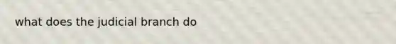 what does the judicial branch do