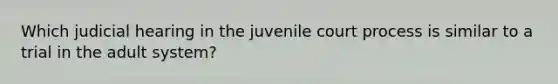 Which judicial hearing in the juvenile court process is similar to a trial in the adult system?