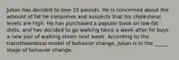 Julian has decided to lose 15 pounds. He is concerned about the amount of fat he consumes and suspects that his cholesterol levels are high. He has purchased a popular book on low-fat diets, and has decided to go walking twice a week after he buys a new pair of walking shoes next week. According to the transtheoretical model of behavior change, Julian is in the _____ stage of behavior change.