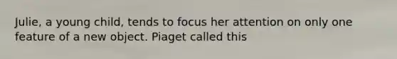 Julie, a young child, tends to focus her attention on only one feature of a new object. Piaget called this