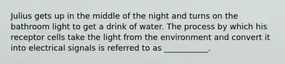 Julius gets up in the middle of the night and turns on the bathroom light to get a drink of water. The process by which his receptor cells take the light from the environment and convert it into electrical signals is referred to as ___________.