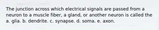 The junction across which electrical signals are passed from a neuron to a muscle fiber, a gland, or another neuron is called the a. glia. b. dendrite. c. synapse. d. soma. e. axon.