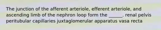 The junction of the afferent arteriole, efferent arteriole, and ascending limb of the nephron loop form the ______. renal pelvis peritubular capillaries juxtaglomerular apparatus vasa recta