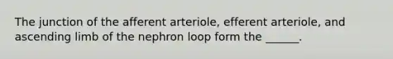 The junction of the afferent arteriole, efferent arteriole, and ascending limb of the nephron loop form the ______.