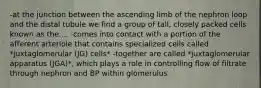 -at the junction between the ascending limb of the nephron loop and the distal tubule we find a group of tall, closely packed cells known as the.... -comes into contact with a portion of the afferent arteriole that contains specialized cells called *juxtaglomerular (JG) cells* -together are called *juxtaglomerular apparatus (JGA)*, which plays a role in controlling flow of filtrate through nephron and BP within glomerulus