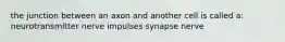 the junction between an axon and another cell is called a: neurotransmitter nerve impulses synapse nerve