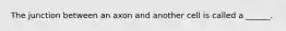 The junction between an axon and another cell is called a ______.