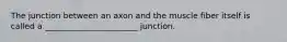 The junction between an axon and the muscle fiber itself is called a _______________________ junction.