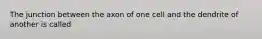 The junction between the axon of one cell and the dendrite of another is called