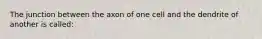 The junction between the axon of one cell and the dendrite of another is called: