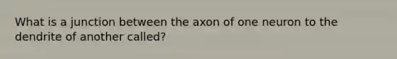 What is a junction between the axon of one neuron to the dendrite of another called?