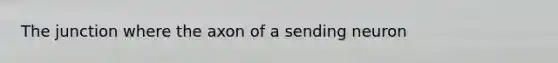 The junction where the axon of a sending neuron