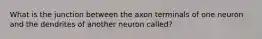 What is the junction between the axon terminals of one neuron and the dendrites of another neuron called?