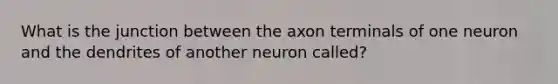 What is the junction between the axon terminals of one neuron and the dendrites of another neuron called?