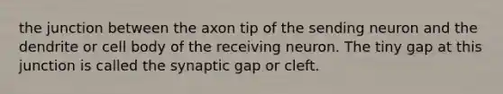 the junction between the axon tip of the sending neuron and the dendrite or cell body of the receiving neuron. The tiny gap at this junction is called the synaptic gap or cleft.