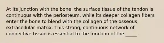 At its junction with the bone, the surface tissue of the tendon is continuous with the periosteum, while its deeper collagen fibers enter the bone to blend with the collagen of the osseous extracellular matrix. This strong, continuous network of connective tissue is essential to the function of the _____.