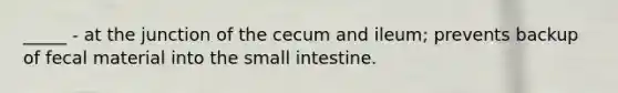 _____ - at the junction of the cecum and ileum; prevents backup of fecal material into the small intestine.