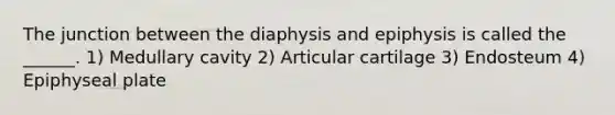 The junction between the diaphysis and epiphysis is called the ______. 1) Medullary cavity 2) Articular cartilage 3) Endosteum 4) Epiphyseal plate